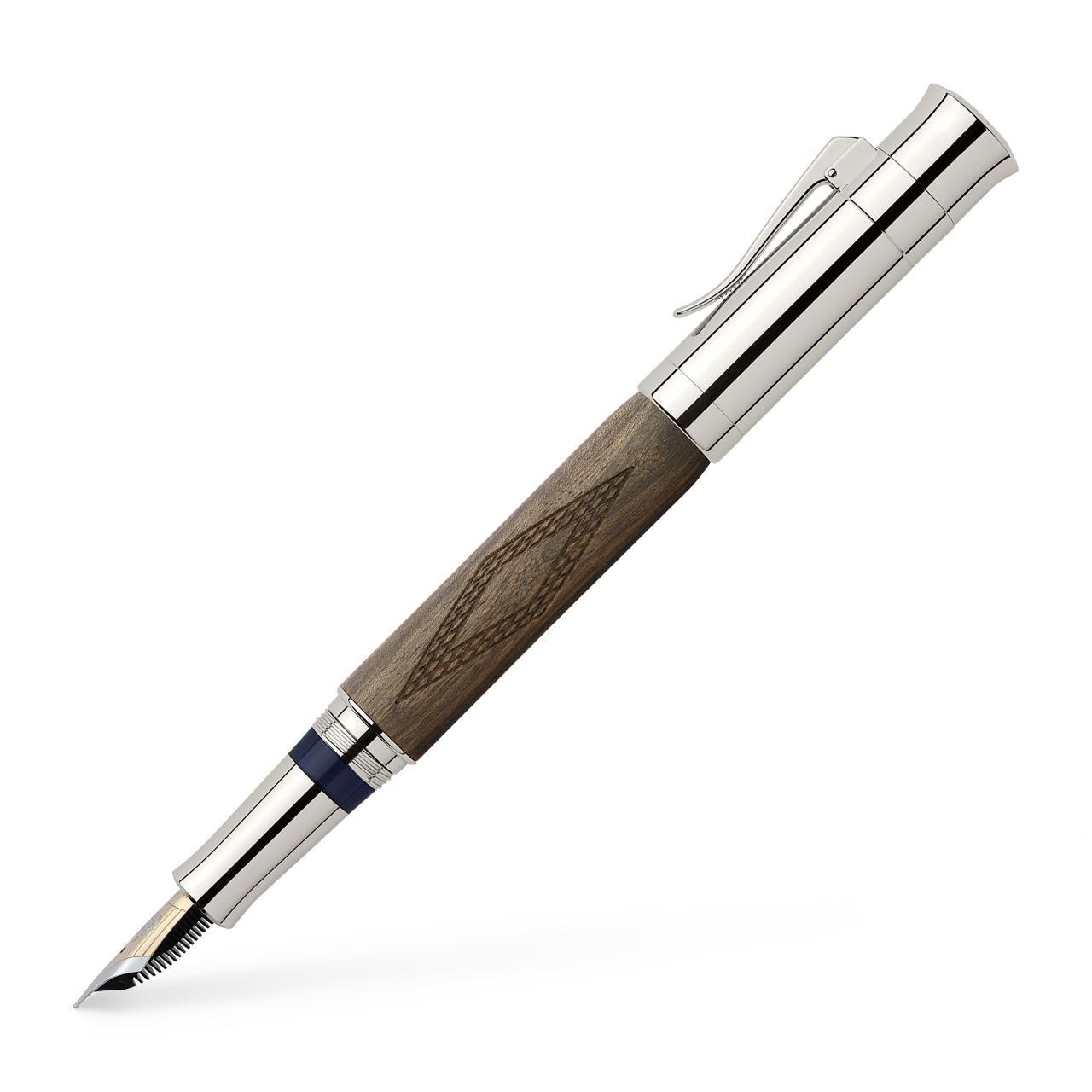 Fountain pen Pen of the Year 2010 Broad