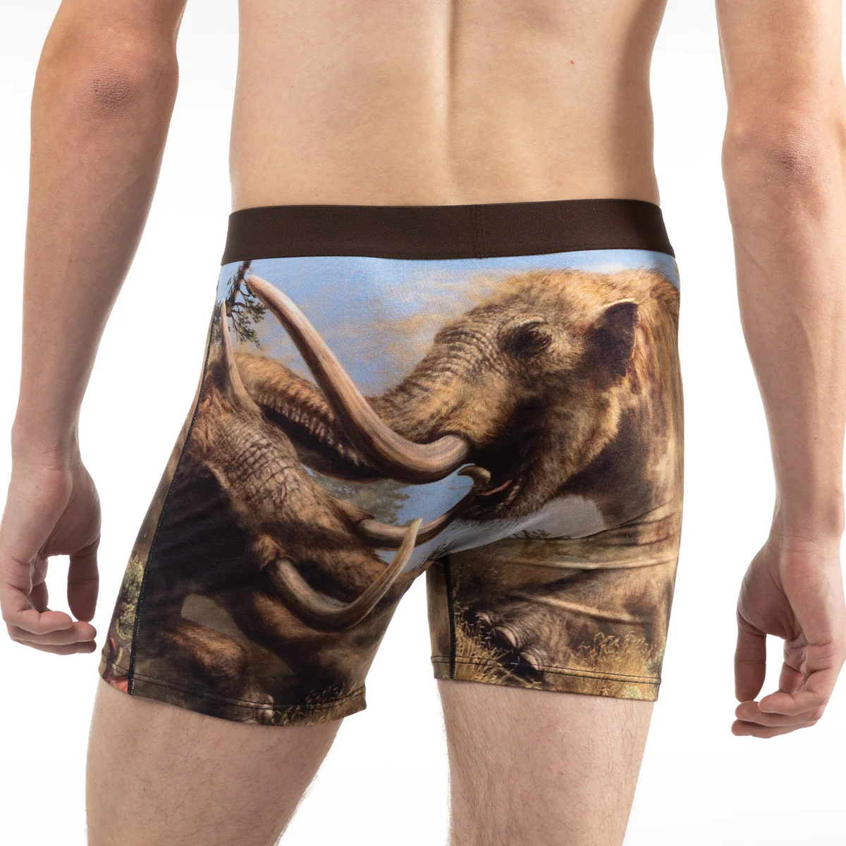 men's mammoths fighting underwear